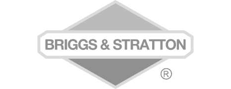 Briggs and Stratton